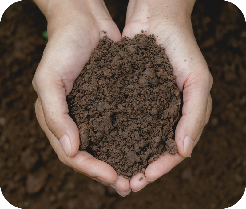 ดินร่วน